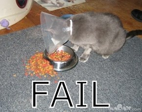 Food Fail