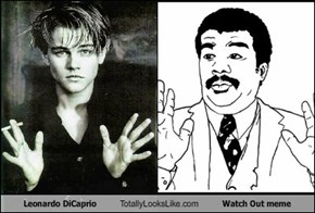 Leonardo DiCaprio Totally Looks Like Watch Out meme