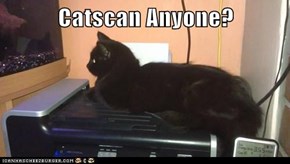 Catscan Anyone?