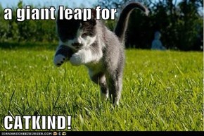 a giant leap for  CATKIND!