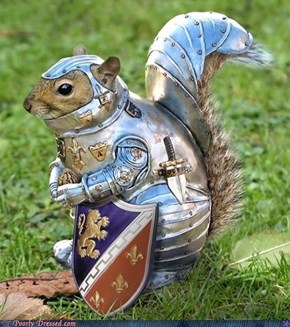 Sir Chubby-Cheeks Has Sworn an Oath!