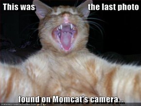 This was                               the last photo  found on Momcat's camera...