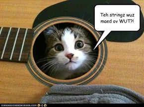 Memo: Next time use wire wrapped instead of catgut