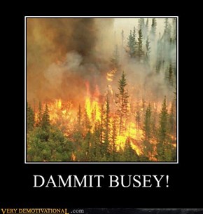 DAMMIT BUSEY!