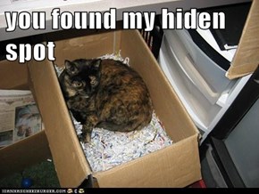 you found my hiden spot