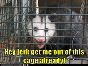 Hey jerk get me out of this cage already!