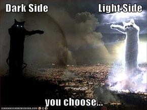Dark Side                        Light Side  you choose...