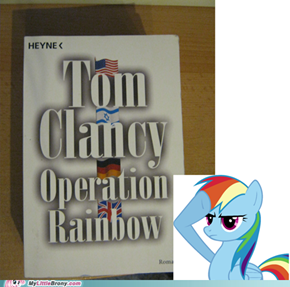 Operation Rainbow