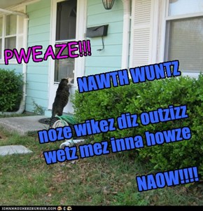 PWEAZE!!!