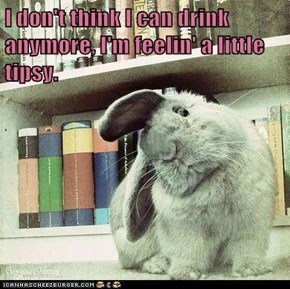 I don't think I can drink anymore, I'm feelin' a little tipsy.
