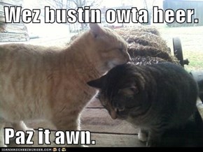 Wez bustin owta heer.  Paz it awn.