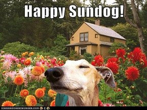 Happy Sundog!