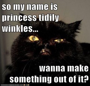 so my name is princess tidily winkles...  wanna make something out of it?