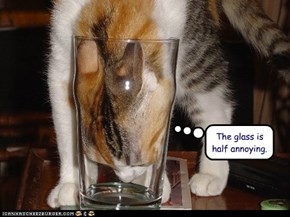 The glass is