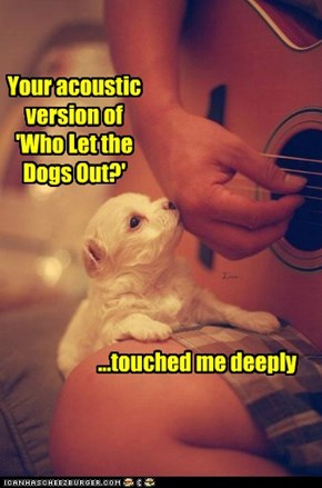 Your acoustic version of 'Who Let the Dogs Out?'