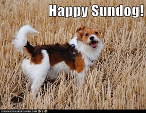 Happy Sundog!