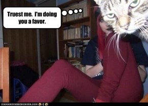 Photobomb kitty saves