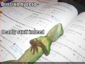 Division by zero -  deadly stuff indeed
