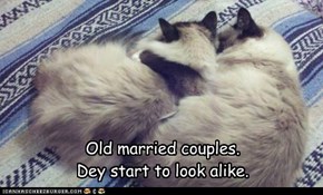 Old married couples.