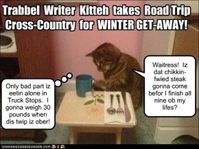 KSO Winter Get-Away!  Kitteh on Road Trip!