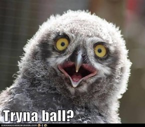 Tryna ball?