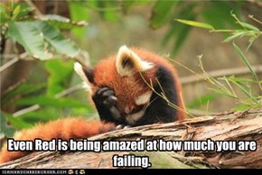 Even Red is being amazed at how much you are failing.