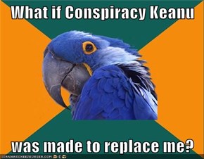 Paranoid Parrot: It Was