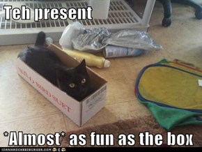 Teh present  *Almost* as fun as the box