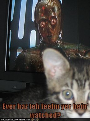 Ever haz teh feelin yer bein' watched?