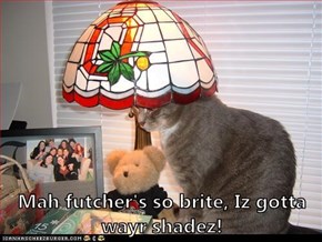Mah futcher's so brite, Iz gotta wayr shadez!