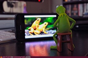 Even Kermit Needs to Relax
