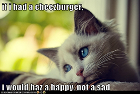 if i had a cheezburger,  i would haz a happy, not a sad