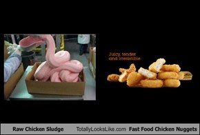 Raw Chicken Sludge Totally Looks Like Fast Food Chicken Nuggets