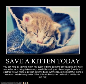 SAVE A KITTEN TODAY