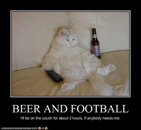 The Big Game: Get Your Beer and Football On!