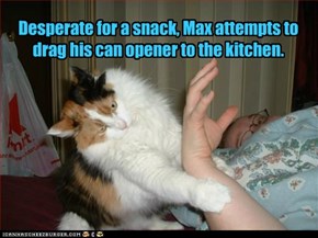 Desperate for a snack,