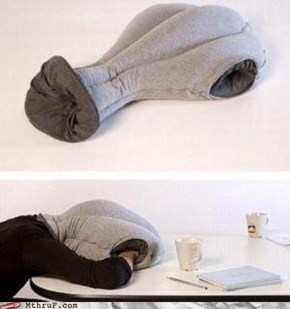 Office Swag: Sleeping at the Office Has Never Been Easier!