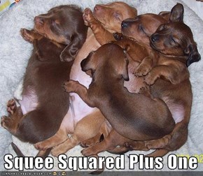 Squee Squared Plus One