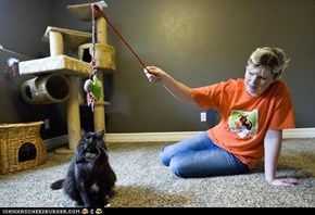 Cat survives 2 euthanasia attempts