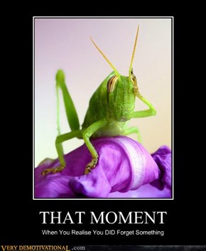 THAT MOMENT