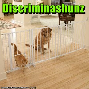 Discriminashunz