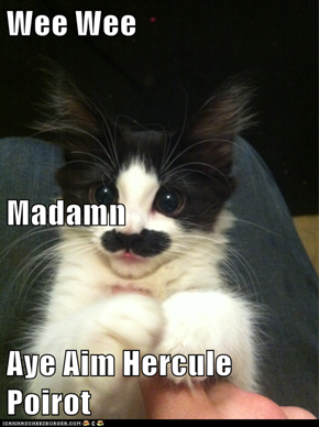 Wee Wee Madamn Aye Aim Hercule Poirot