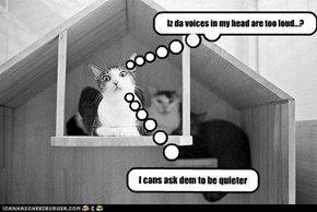Iz da voices in my head are too loud...?