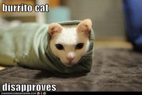 burrito cat  disapproves