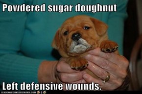 Powdered sugar doughnut