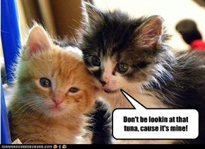 Don't be lookin at that tuna, cause it's mine!