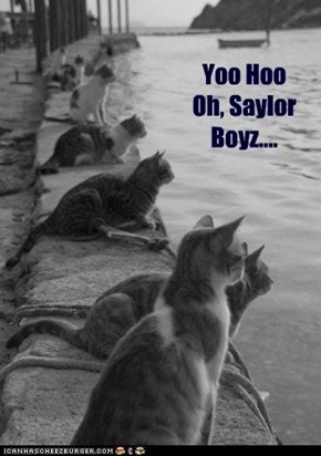 Fleet Week, Kitteh Style