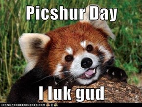 Picshur Day  I luk gud