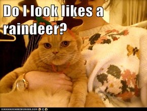 Do I look likes a raindeer?