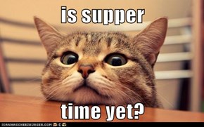 is supper  time yet?
